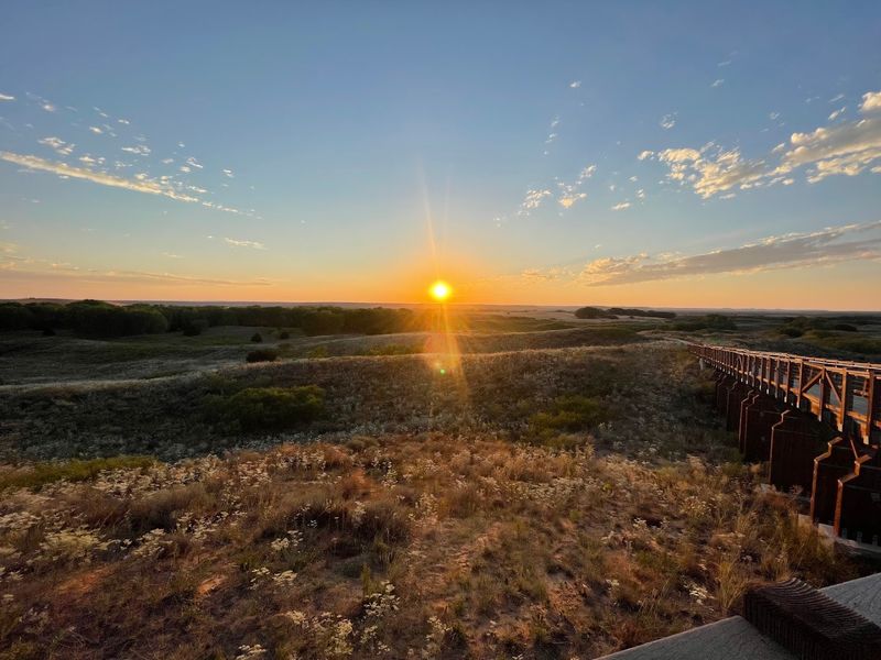 Camping Under a Sky Full of Stars