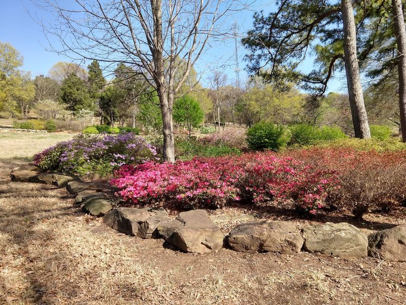 Azalea Festival Muskogee