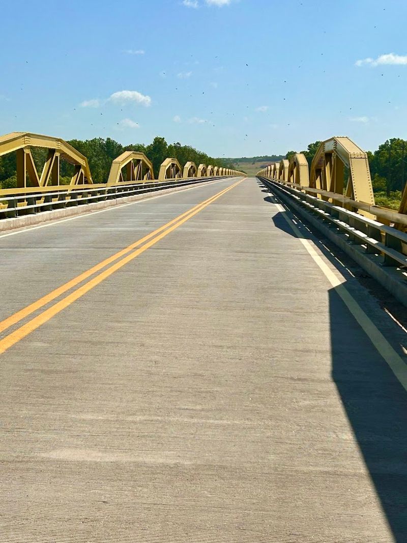 What Makes the Pony Truss Design So Special Here