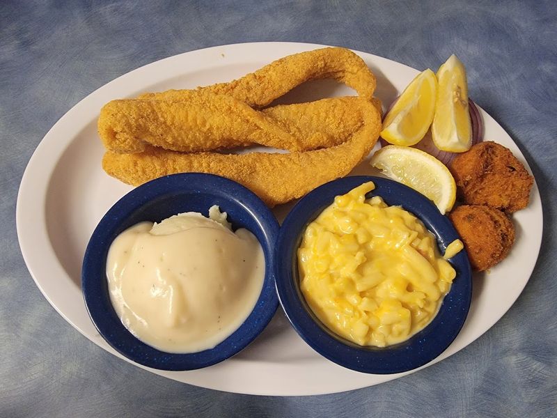 The Catfish Is the Real Star of the Show