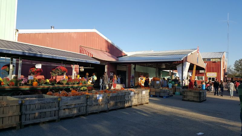 Fresh Produce Starts Doing The Work Right Away