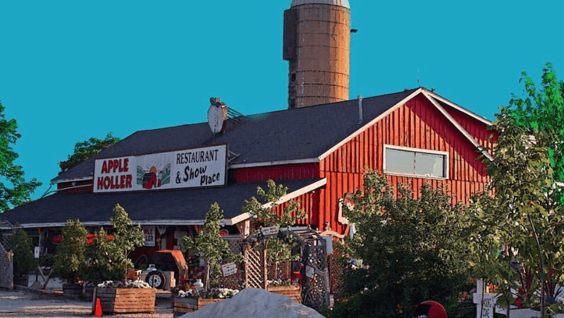 Fresh Produce Straight From The Fields