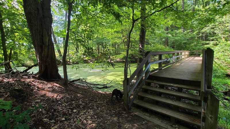 Ranger-Led Tours That Actually Teach You Something