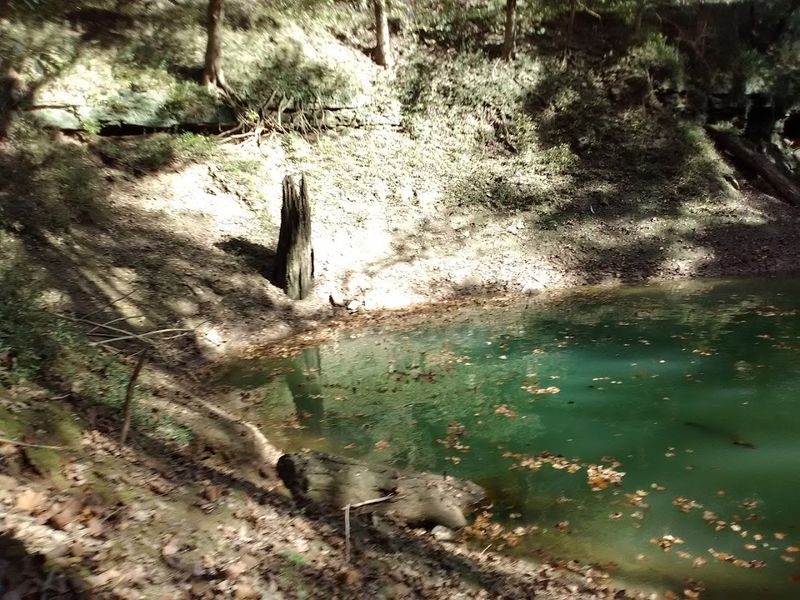 Peaceful Solitude Far from the Crowds