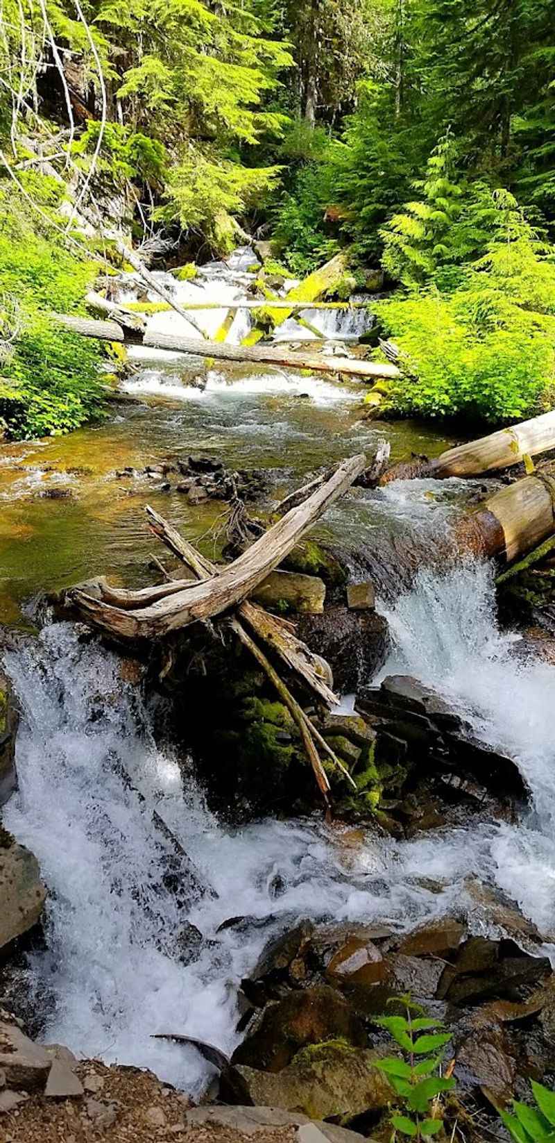 Proxy Falls, Three Sisters Wilderness, Central Oregon