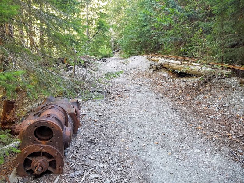 Trail Conditions and What to Expect Underfoot