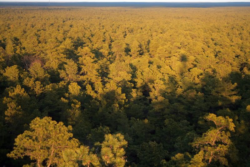 The Philadelphia Skyline View: 32 Miles of Urban Drama