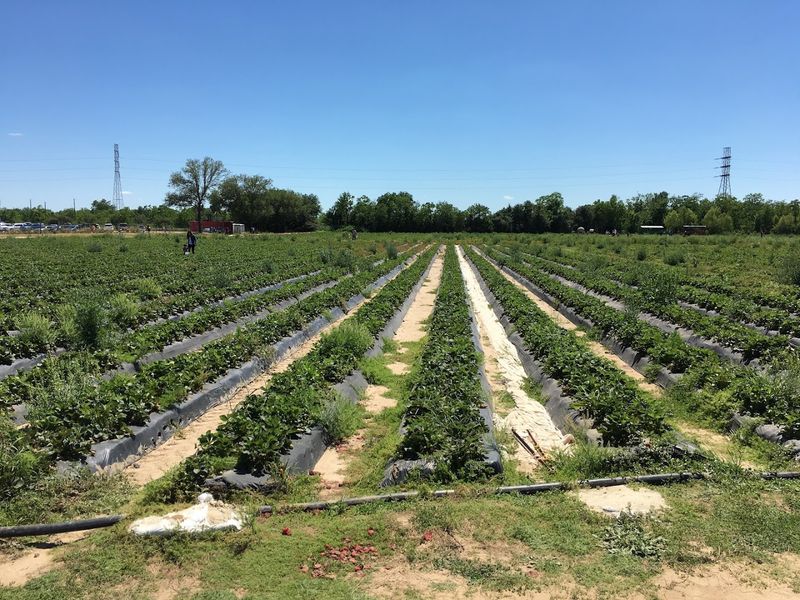 Less Than an Hour From Houston