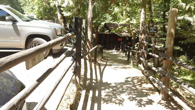 Getting to the Oregon Vortex