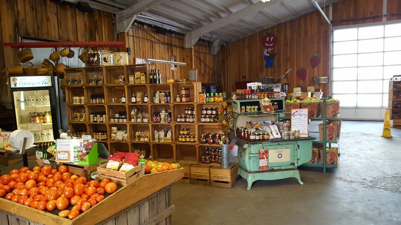 The Kind Of Stop That Turns Browsing Into A Plan