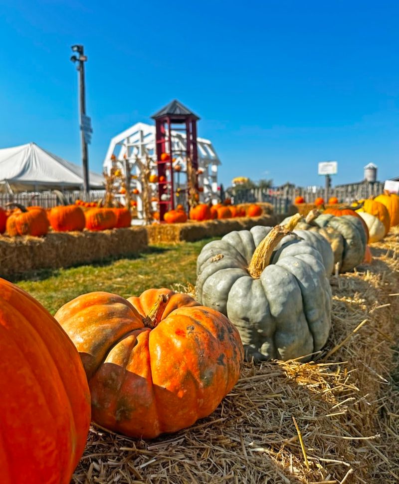 The Kind Of Market Stop That Turns Into An Event