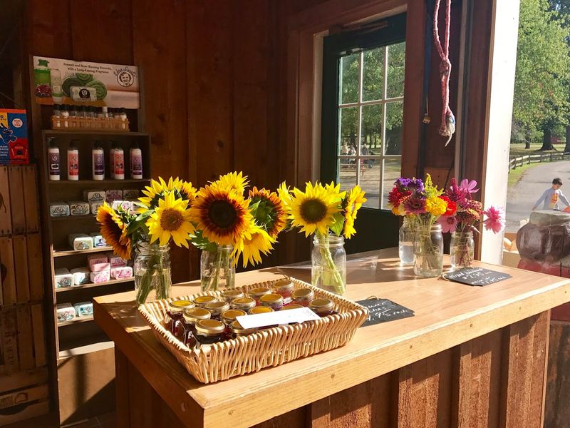 Farm Market Finds Worth Bringing Home