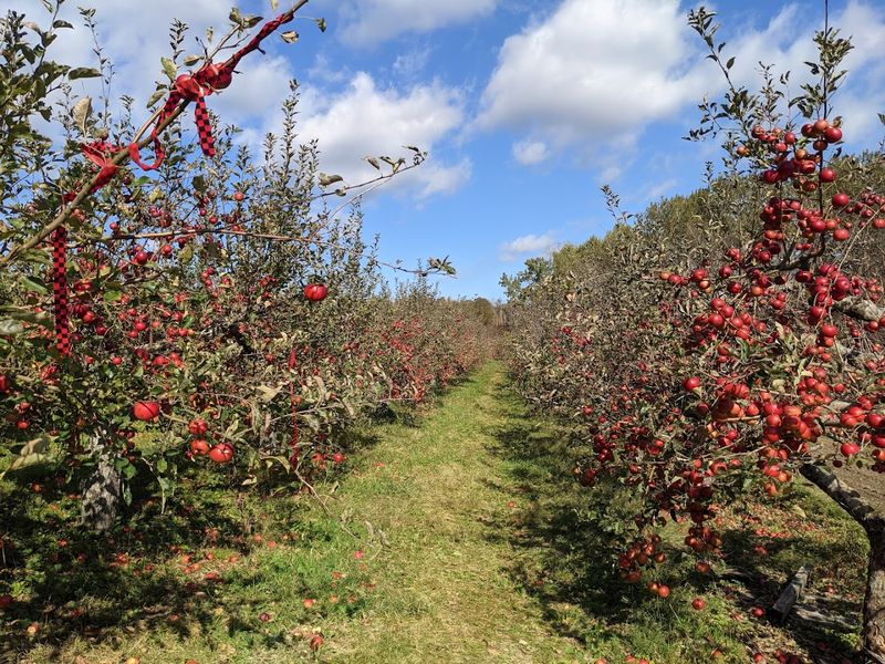 Why This Place Feels So Rich With Flavor