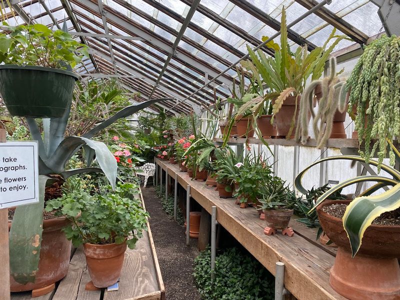 The Italianate Architecture That Sets It Apart