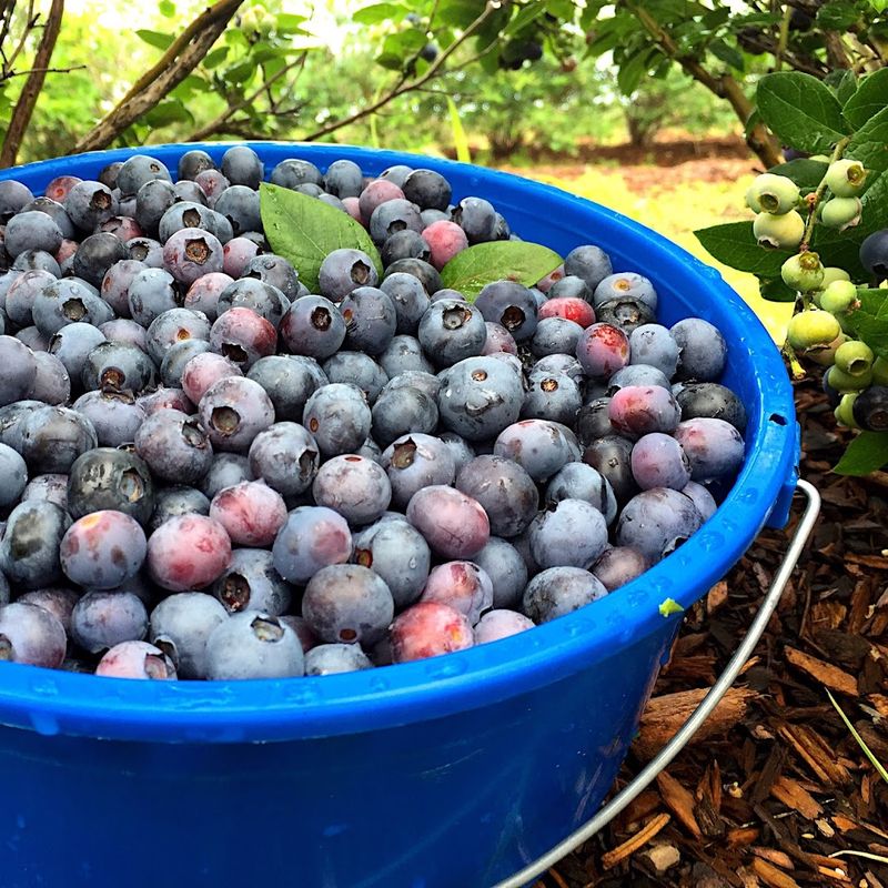 The Share Program Makes Giving Back Feel Delicious