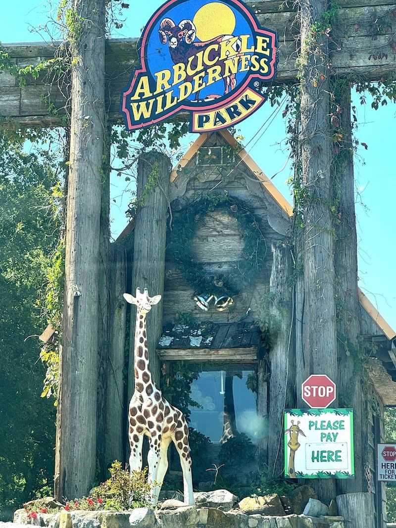The Gift Shop and Entry Area Set a Nostalgic, Small-Town Tone