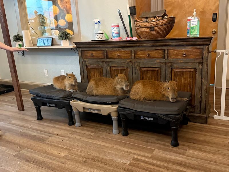 The Photo Friendly Layout That Feels Made For Social Media