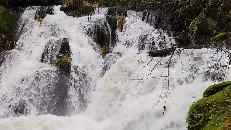 What Makes Beaver Creek Falls Special