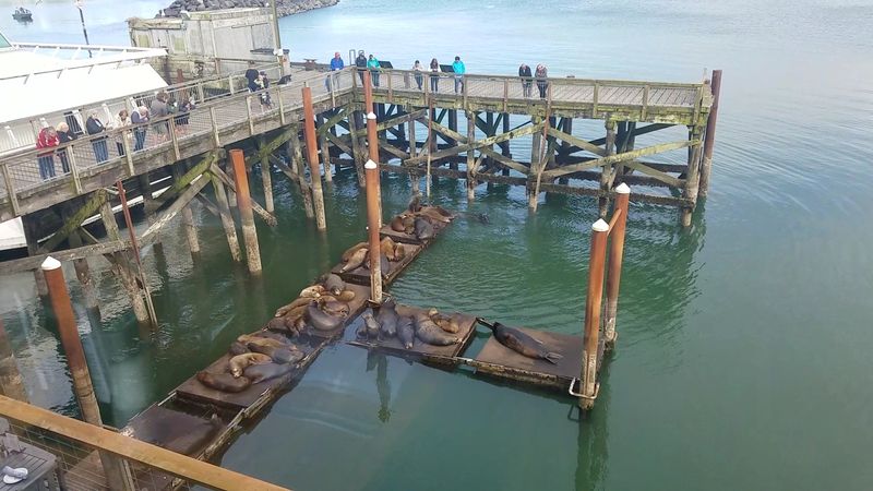 Making a Reservation and Planning Your Visit