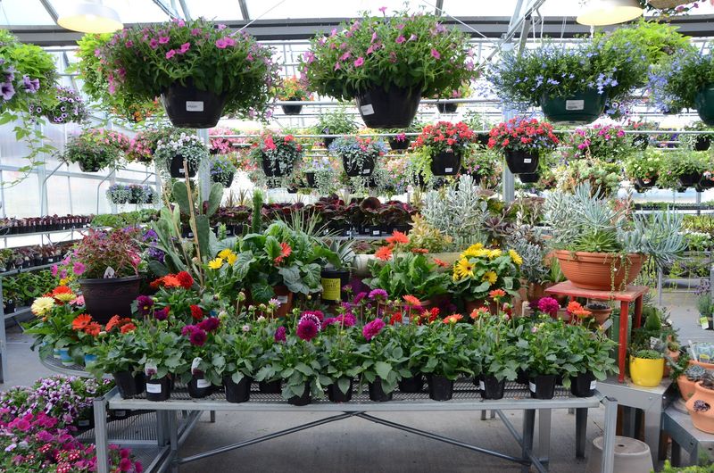 Best Photo Corners Where Plants And Styling Look Extra Good