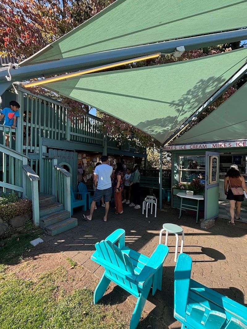 The Treehouse That Kids Absolutely Love