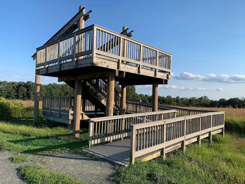 Birdwatching That Will Turn You Into a Birder Overnight