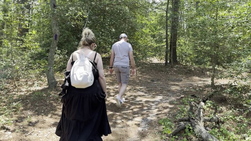 Camping That Puts You Right Inside the Wild