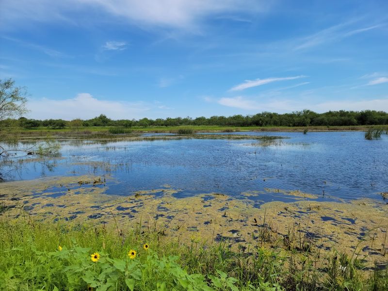 The Malachite Trail: An ADA-Accessible Adventure