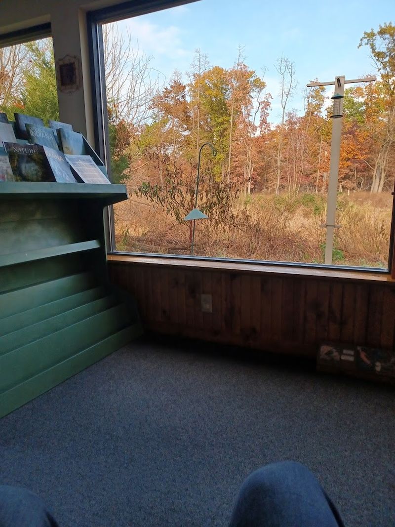 The Gibson Woods Environmental Awareness Center Brings Learning to Life