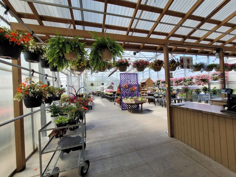 Prices That Actually Make Sense for a Home Gardener's Budget