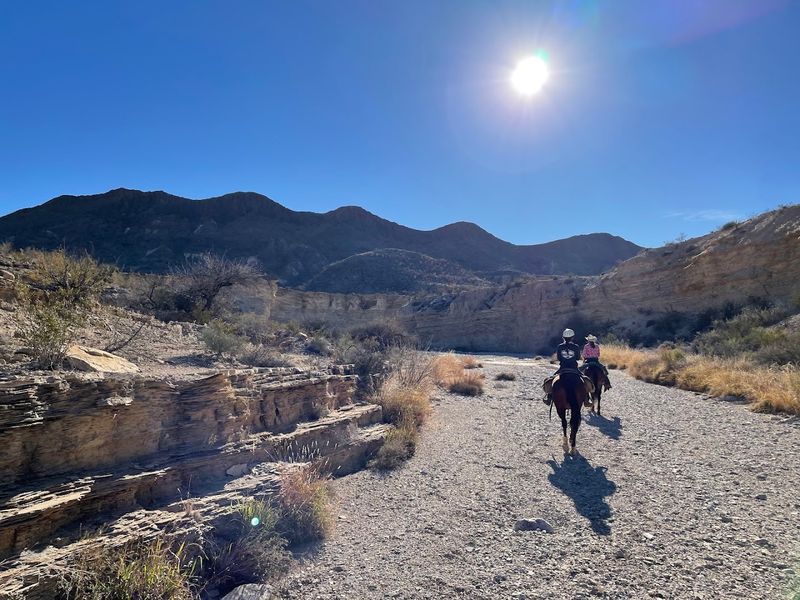 Trail Options for Every Skill Level