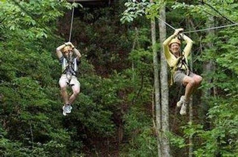 The Treetops Aerial Adventure Course for Thrill Seekers