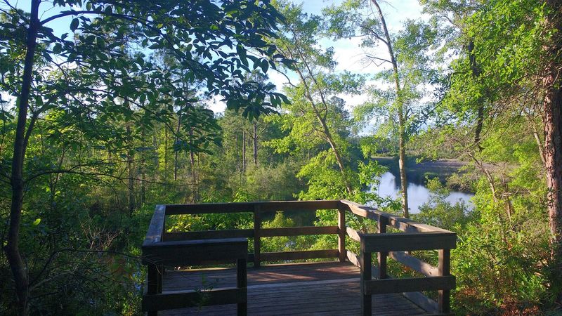 Birdwatching Moments That Do Not Need A Big Hike