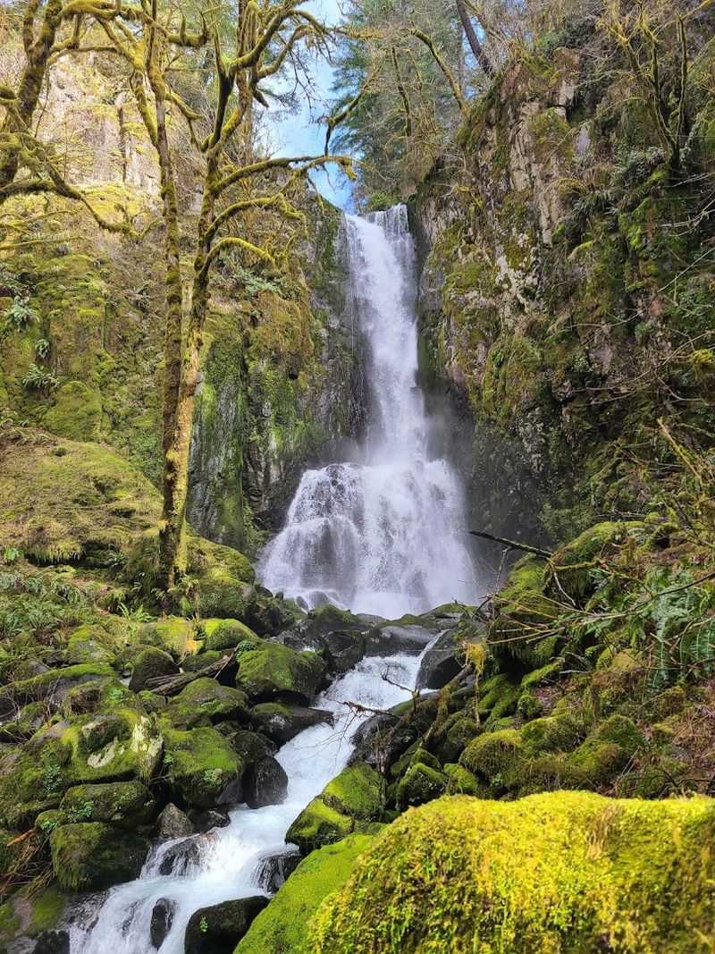 Kentucky Falls Trail, Noti, Oregon