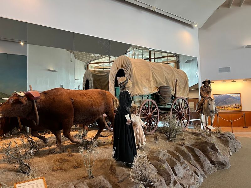 Interactive Exhibits That Teach Without Feeling Like School