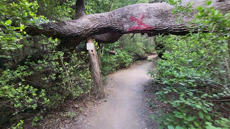 What to Bring So the Trail Does Not Humble You