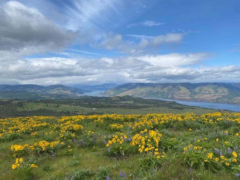 Why This Hike Works For Almost Every Fitness Level