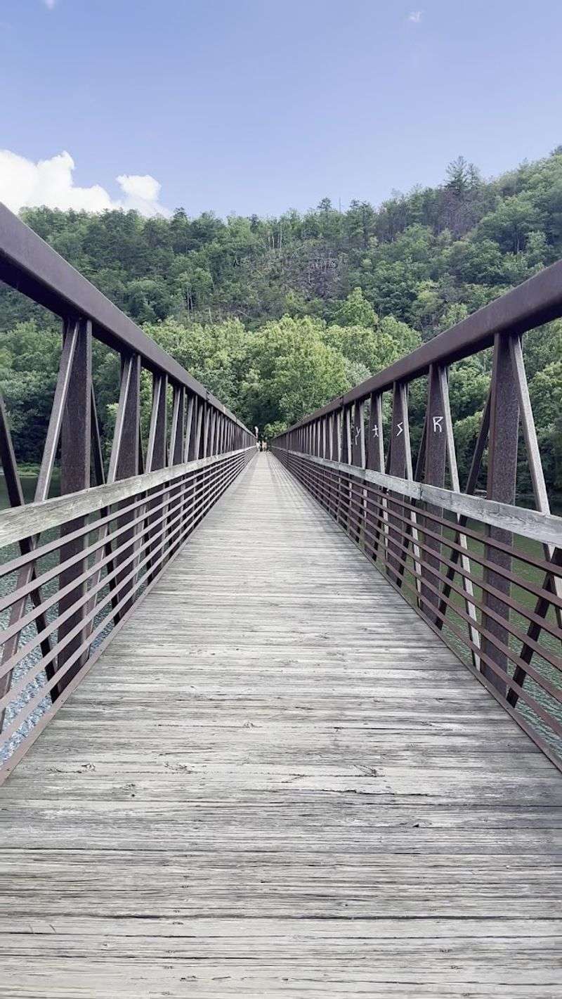 Why This Bridge Belongs on Every Virginia Bucket List