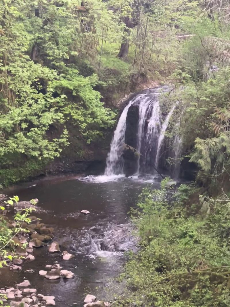 Wildlife That Does Not Shy Away