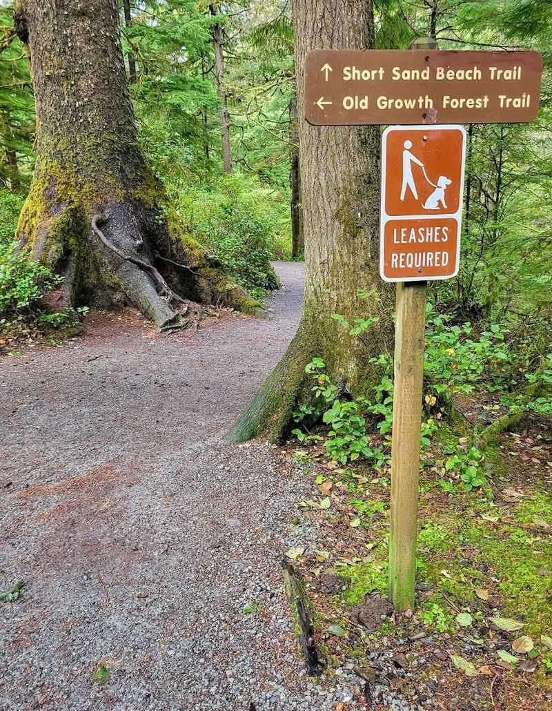 What to Bring: Packing Smart for a Half-Mile Hike