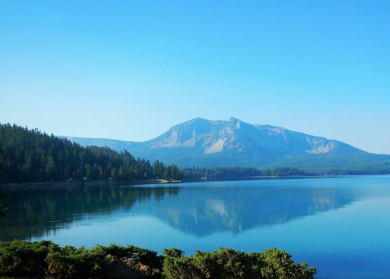 Wildlife Watching in the Monument
