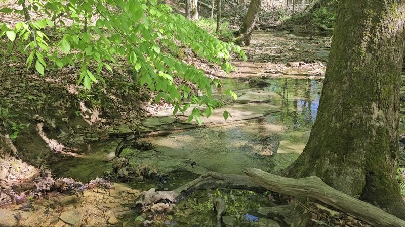 Rich History Written in Limestone and Water