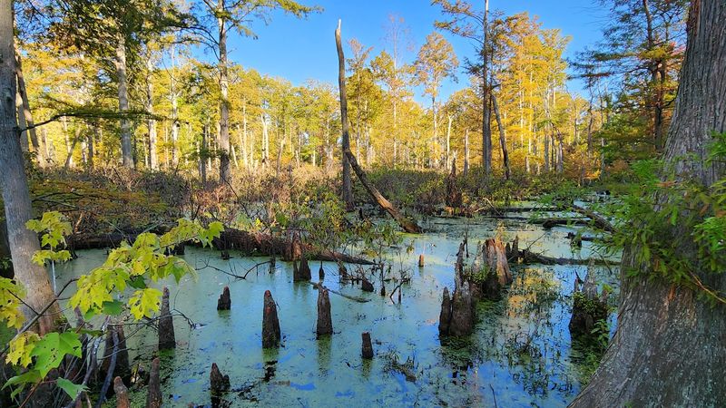 A Gateway to Exploring Posey County and the Surrounding Region