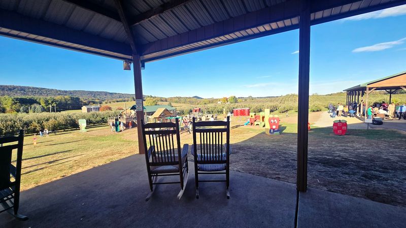 Kids Go Absolutely Wild for the Playground and Train Ride