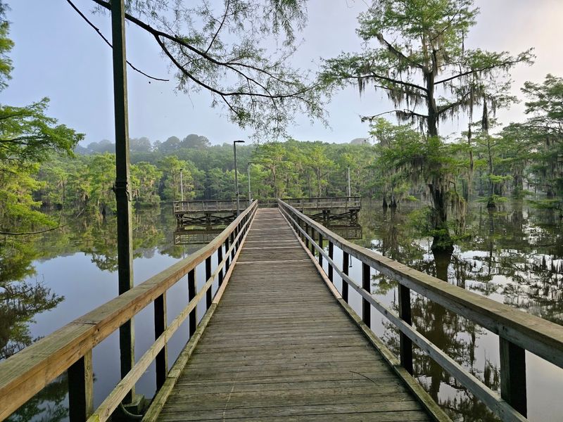 Caddo Lake State Park