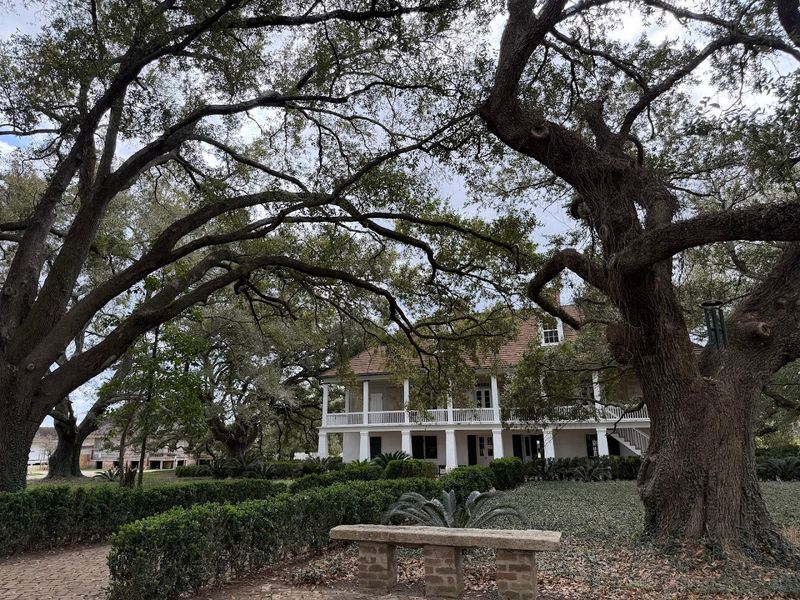 Use A Self Guided Route So You Don’t Miss The Prettiest Blocks