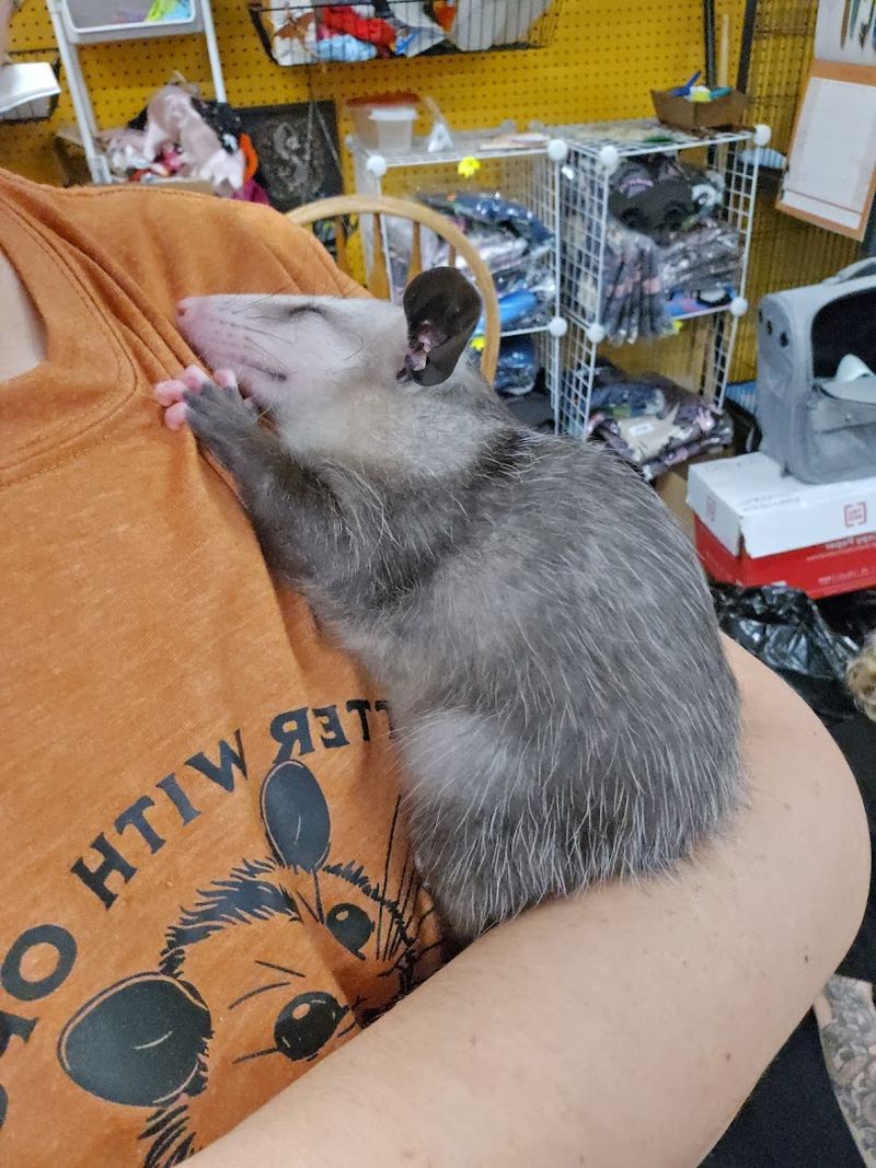 A Mission Worth Supporting