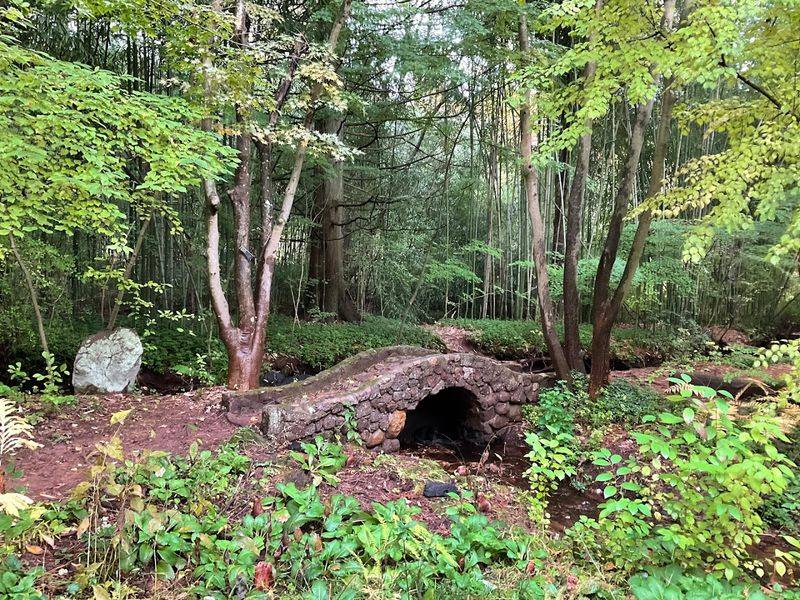 An Observation Deck and Hidden Art That Reward the Curious