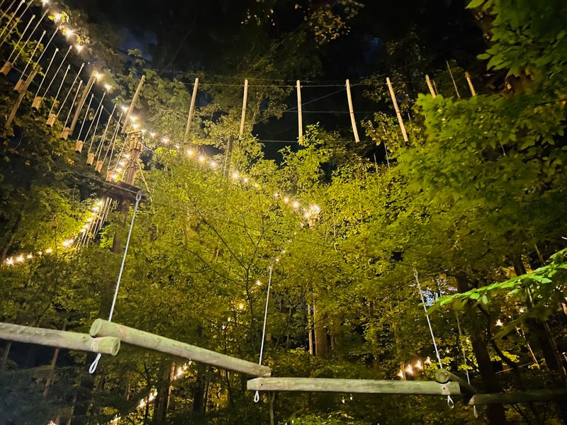 The Forest Setting That Elevates Every Moment