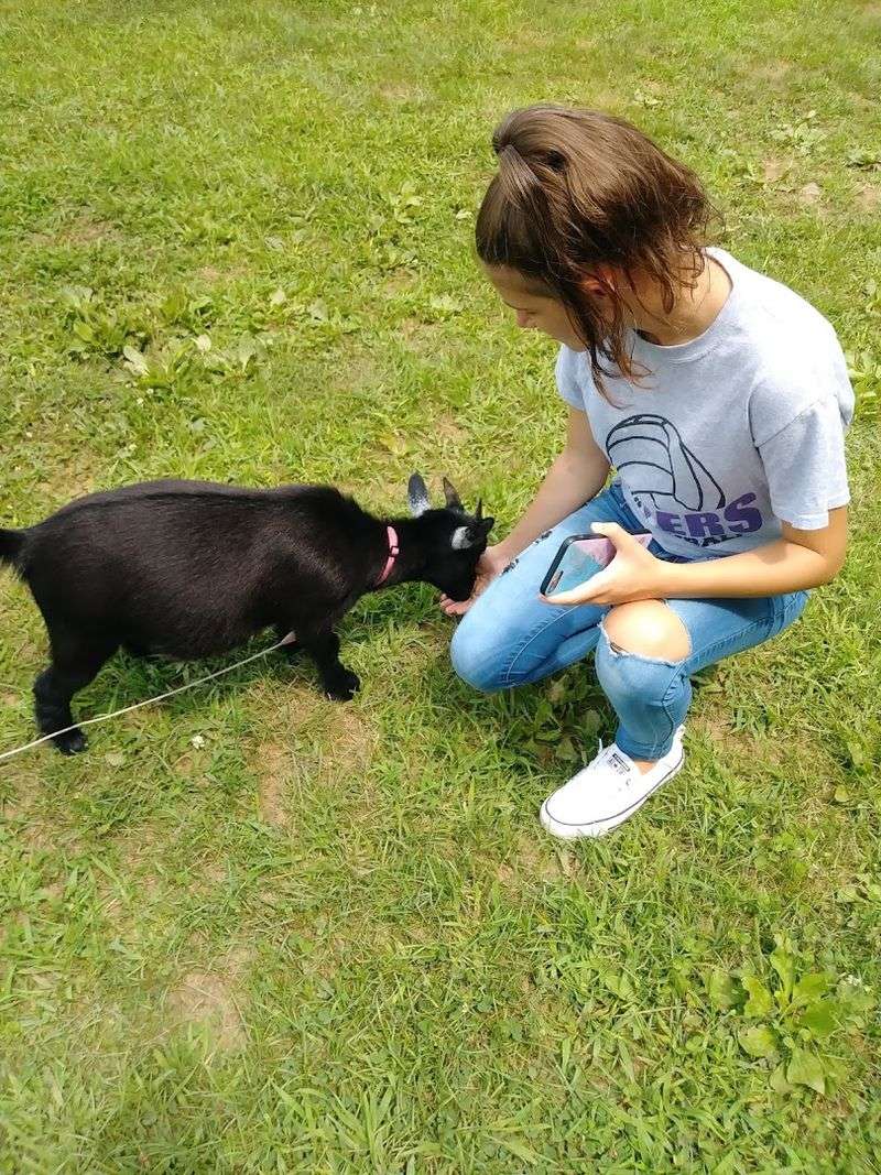 A Farm Full of Friendly Animal Encounters